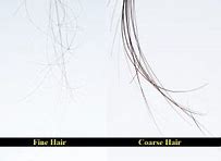 Fine Hair Adalah